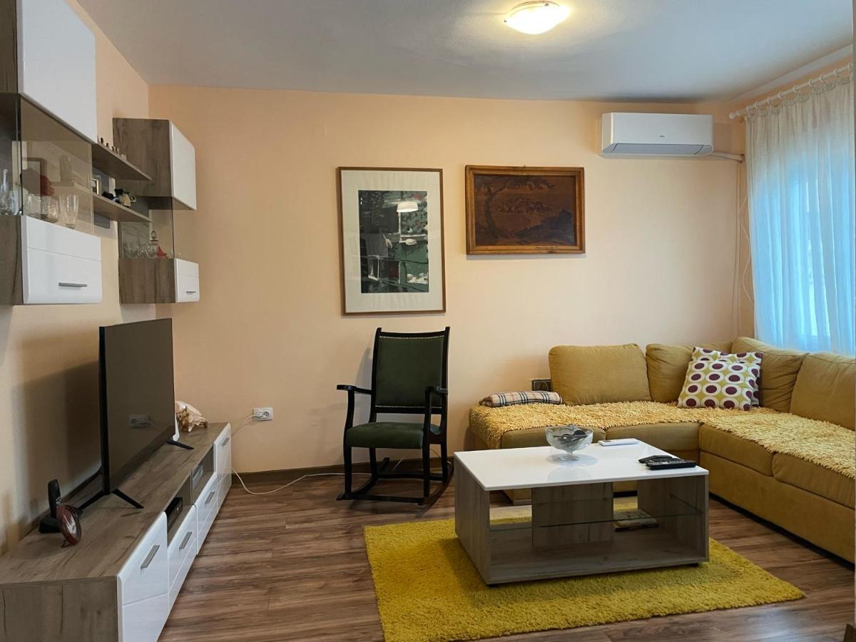 Apartment Vrbisao ツェティニェ エクステリア 写真